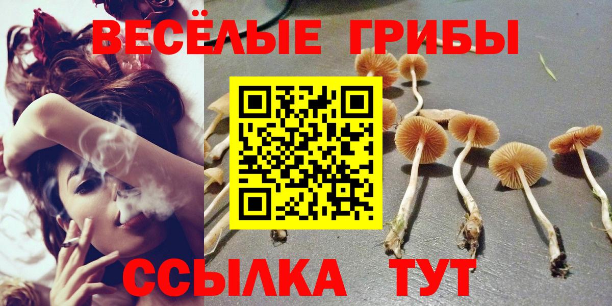 Галлюциногенные грибы GOLDEN TEACHER  Галлюциногенные грибы GOLDEN TEACHER  дарнет шоп  Нижнеудинск  Вход с VPN 